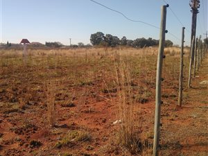 2.1 ha Land available in Pomona