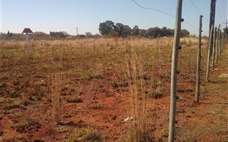 2.1 ha Land available in Pomona