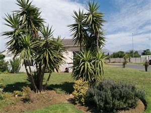 3 Bed House in Victoria Park