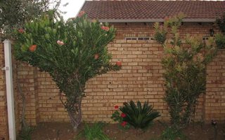 3 Bedroom Simplex in Theresa Park