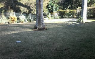 3 Bedroom Townhouse in Warner Beach