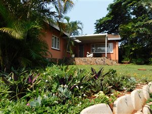 4 Bed House in Bluff