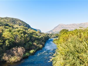 1037 m² Land available in Seasons Lifestyle Estate