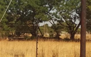 1 ha Farm in Kameeldrift East