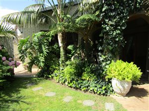 3 Bed House in George South