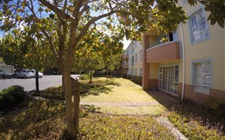 2 Bedroom Apartment in Pinelands