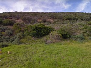 1995 m² Land available in Amsterdamhoek