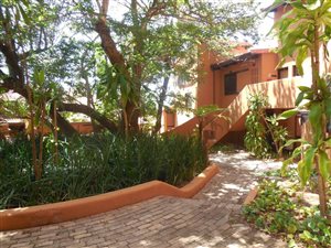 1 Bed Apartment in San Lameer
