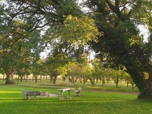 10.3 ha Farm in Kameeldrift West