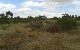 2347 m² Land available in Napier