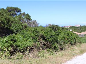 779 m² Land available in St Francis Bay