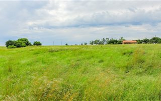 1006 m² Land available in Oranjeville
