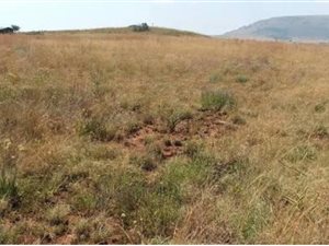 1100 m² Land available in Kaydale