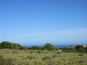 1175 m² Land available in Port Alfred