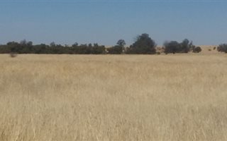 498 ha Land available in Bultfontein