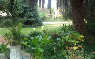 1 Bedroom Apartment in Parktown