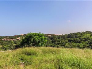 1103 m² Land available in Seaward Estates