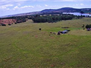 16 ha Farm in Vredefort