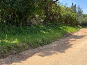 1000 m² Land available in Southport