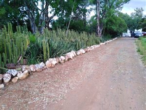 Smallholding in Noordhoek