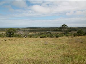 22 ha Smallholding in Port Alfred