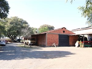 1.5 ha Farm in Koster