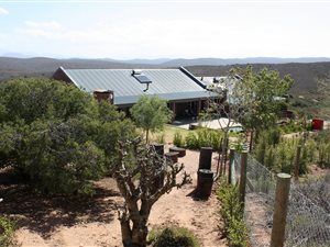 32 ha Farm in Robertson