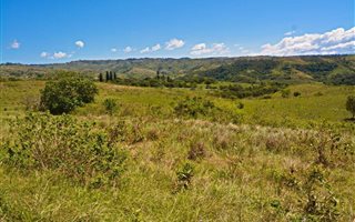 22 ha Farmland in Izotsha