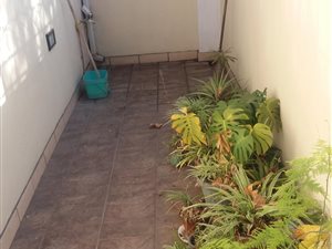 1 Bed Garden Cottage in Bezuidenhout Valley