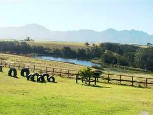 24 ha Farm in George Central
