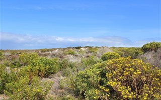 700 m² Land available in Struisbaai