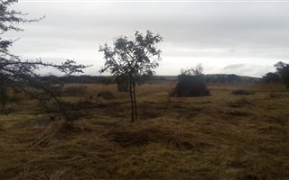 1 ha Land available in Wildside