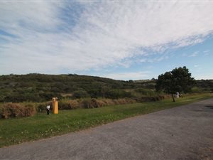 1233 m² Land available in Forest Downs