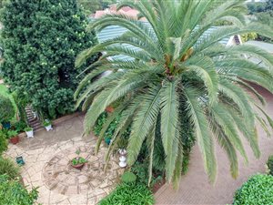 3 Bedroom House in Brenthurst