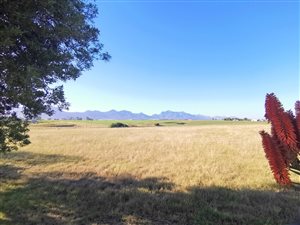 5 ha Farm in George Central