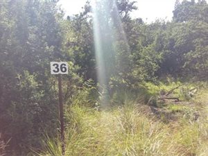 1568 m² Land available in Nottingham Road