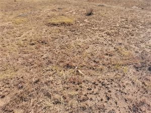 630 m² Land available in Shalimar Ridge