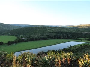 672 ha Farm in Adelaide