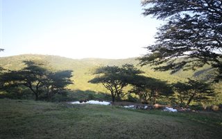 1130 ha Farm in Empangeni