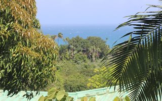 1221 m² Land available in Trafalgar