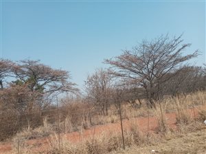 192.6 ha Land available in Mpumalanga