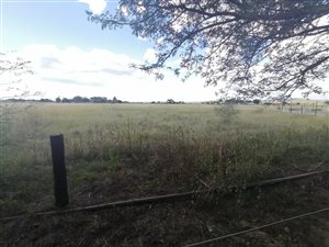 8 ha Farm in Polokwane Central