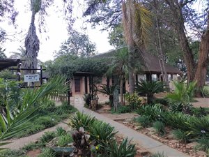8 ha Farm in Polokwane Central