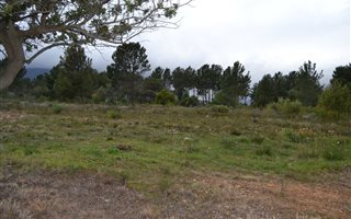 1019 m² Land available in Wolseley