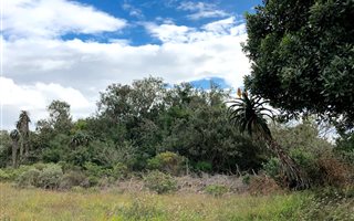 581 m² Land available in Aston Bay