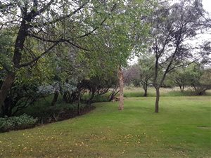5 Bed House in Leeuwfontein