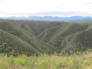 20 ha Land available in Plettenberg Bay Rural