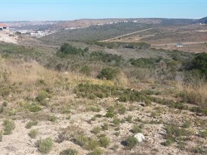 826 m² Land available in Seemeeu Park