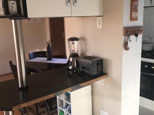 3 Bed House in Winchester Hills
