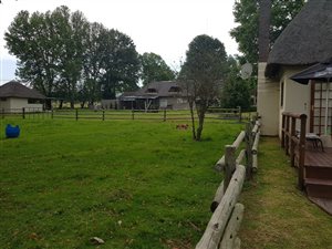 Farm in Rosetta